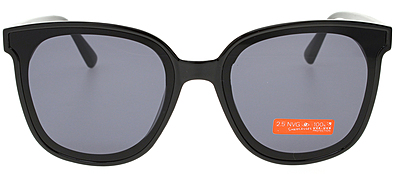 SUN 310 0202 SUN 310 0202